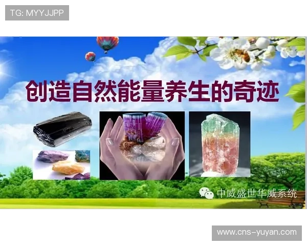 球员家庭支持系统重要性，平衡生活